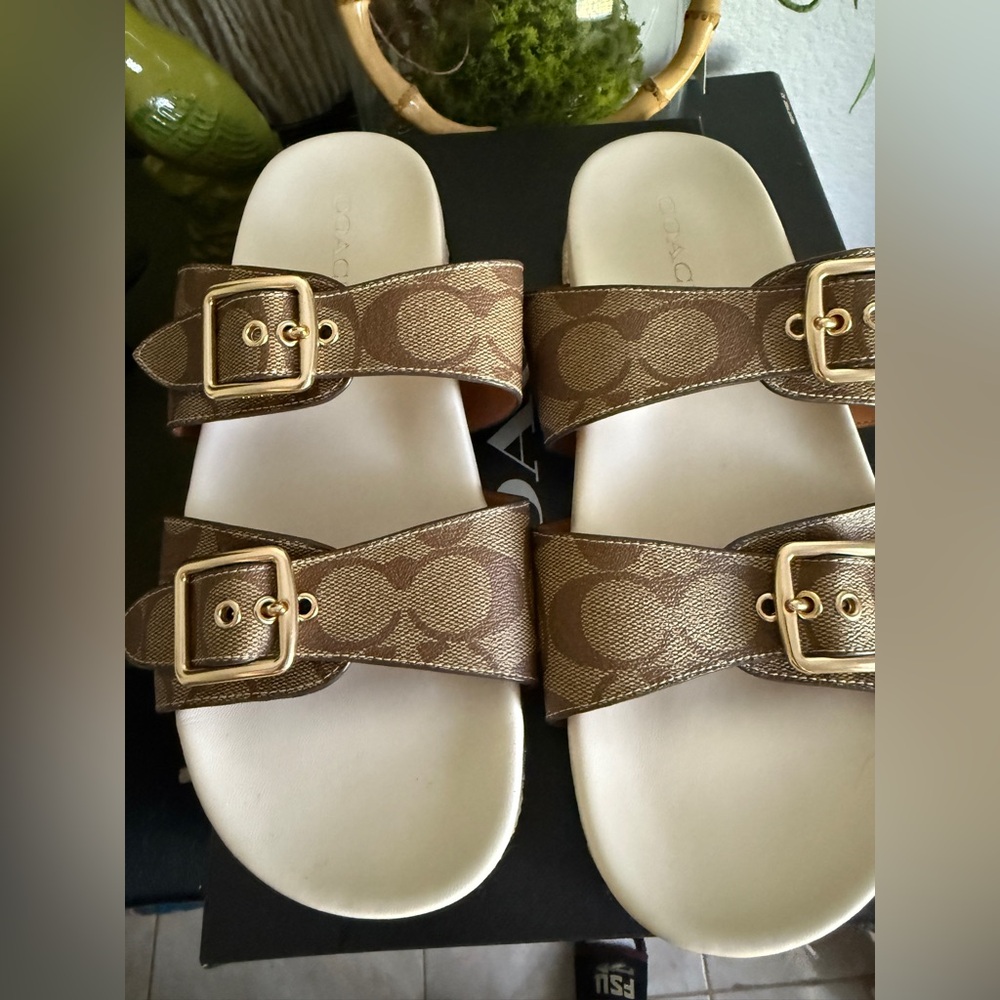 COACH ALLANAH SIG SANDAL IN KHAKI. Worn a 4x. Super clean. Comes in the box.